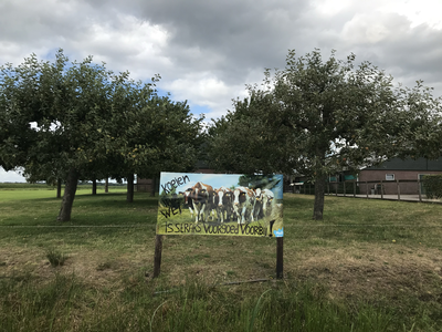 903280 Afbeelding van een bord met de leus koeien in de wei is straks voorgoed voorbij! bij een boerderij aan de ...